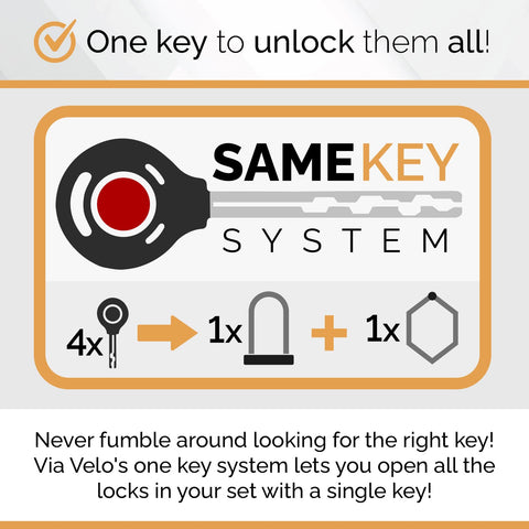 Via Velo 2 Electric Bike Bike Lock Set | Same Key System 4 Keyed Alike keys, Heavy-Duty Hard Steel | 33.5